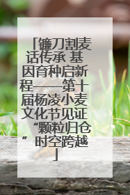 镰刀割麦话传承 基因育种启新程——第十届杨凌小麦文化节见证“颗粒归仓”时空跨越
